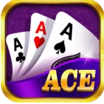 New Rummy Apk